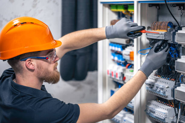 Best Electric Panel Repair  in Loughman, FL